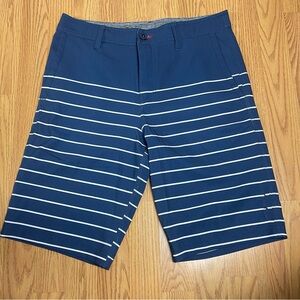 O'Neill Navy and White Striped Men's Shorts